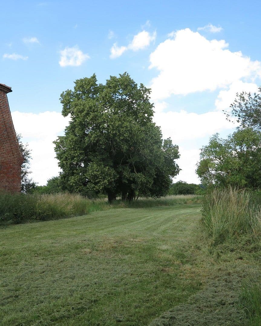 Predaj domu 1.200 m², pozemek 7.000 m², Ivenack, Meklenbursko-Predpomoransko Predaj domu 1.200 m², pozemek 7.000 m², Ivenack, Meklenbursko-Predpomoransko