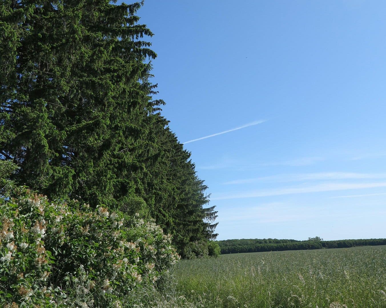 Predaj domu 1.200 m², pozemek 7.000 m², Ivenack, Meklenbursko-Predpomoransko Predaj domu 1.200 m², pozemek 7.000 m², Ivenack, Meklenbursko-Predpomoransko