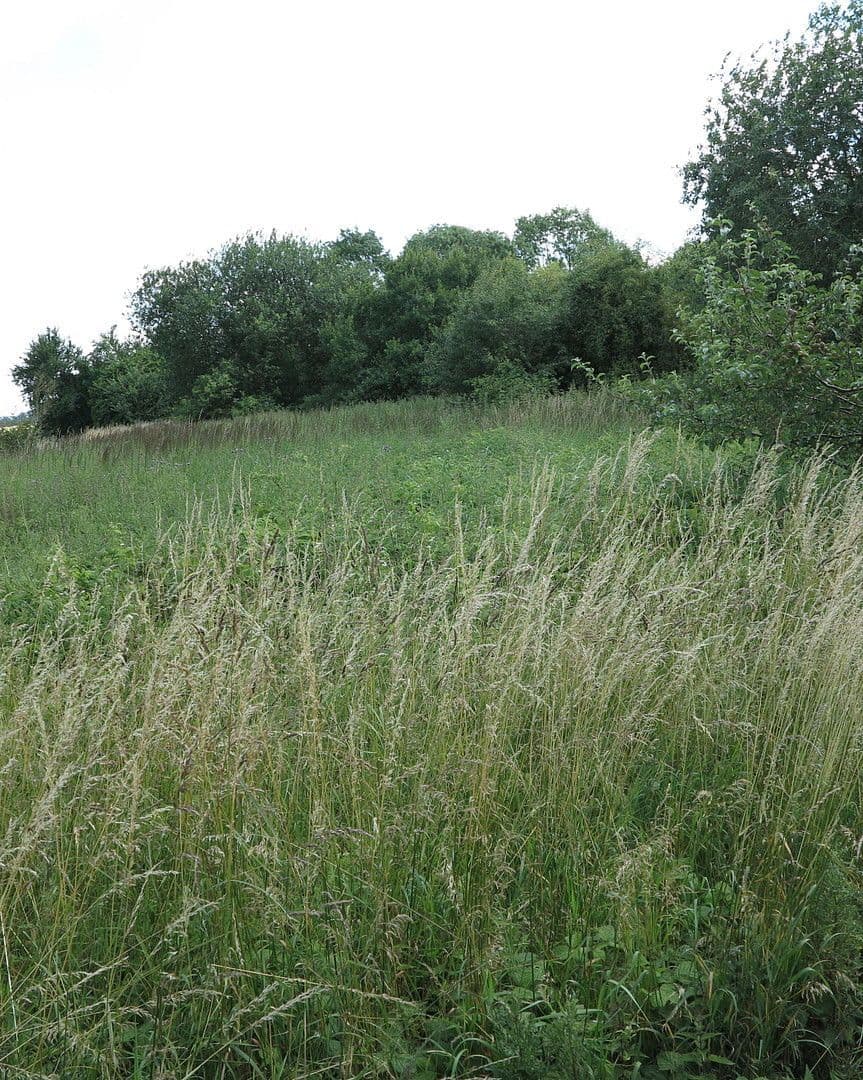 Predaj domu 1.200 m², pozemek 7.000 m², Ivenack, Meklenbursko-Predpomoransko Predaj domu 1.200 m², pozemek 7.000 m², Ivenack, Meklenbursko-Predpomoransko