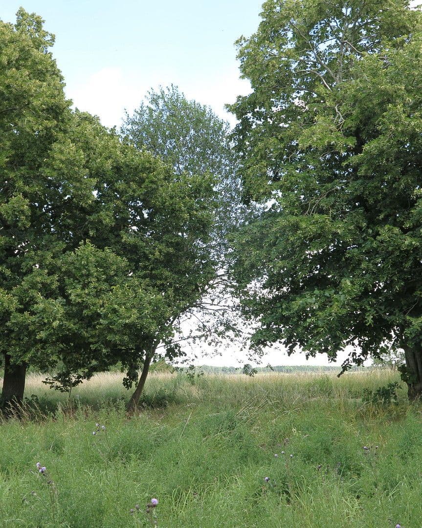 Predaj domu 1.200 m², pozemek 7.000 m², Ivenack, Meklenbursko-Predpomoransko Predaj domu 1.200 m², pozemek 7.000 m², Ivenack, Meklenbursko-Predpomoransko