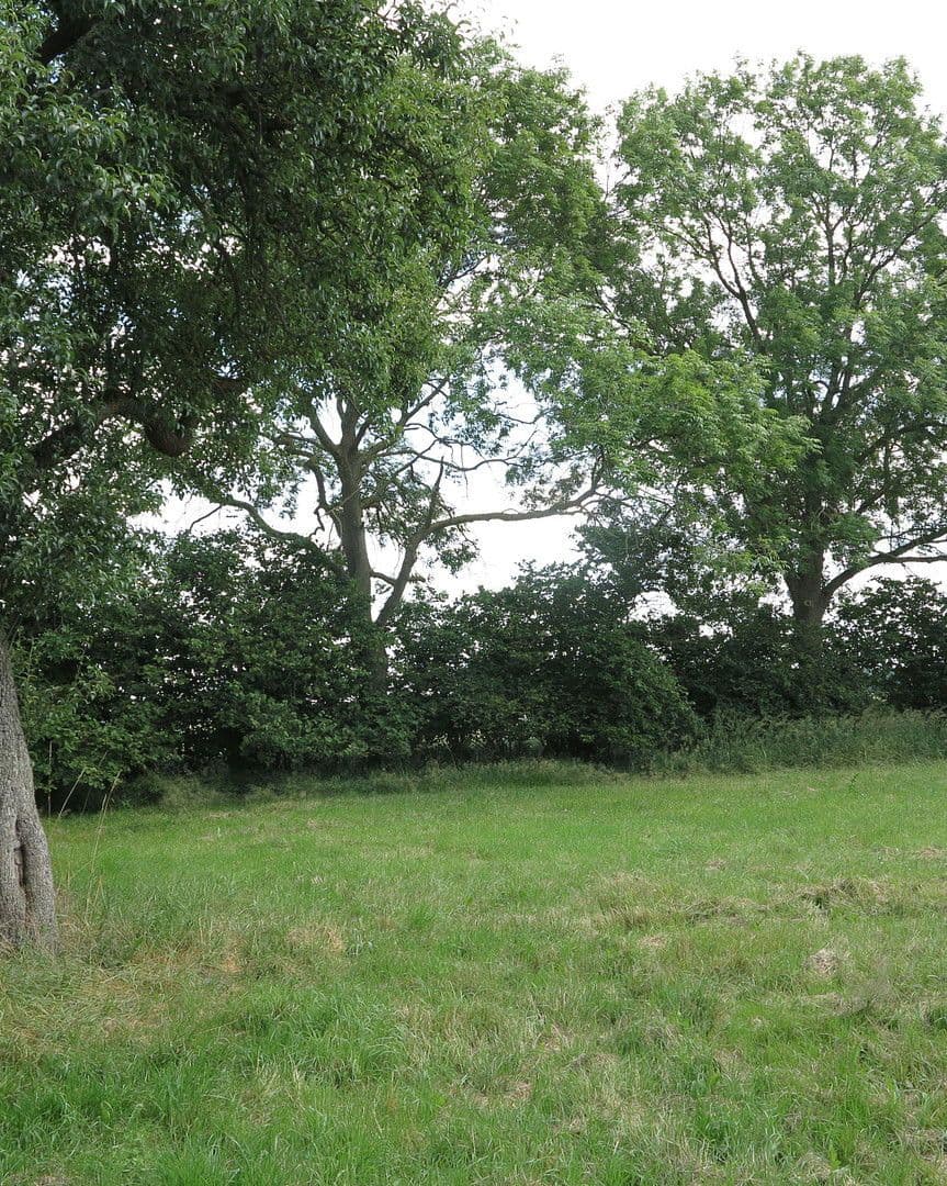 Predaj domu 1.200 m², pozemek 7.000 m², Ivenack, Meklenbursko-Predpomoransko Predaj domu 1.200 m², pozemek 7.000 m², Ivenack, Meklenbursko-Predpomoransko