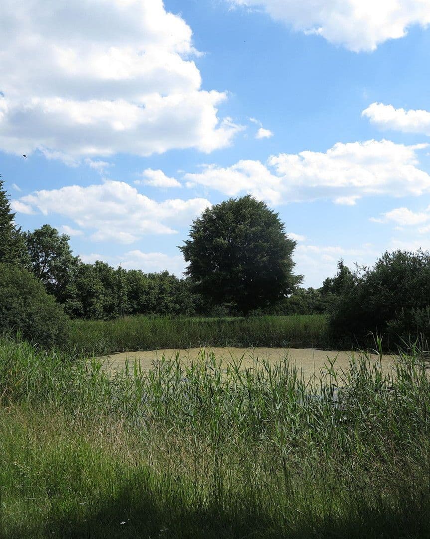 Predaj domu 1.200 m², pozemek 7.000 m², Ivenack, Meklenbursko-Predpomoransko Predaj domu 1.200 m², pozemek 7.000 m², Ivenack, Meklenbursko-Predpomoransko