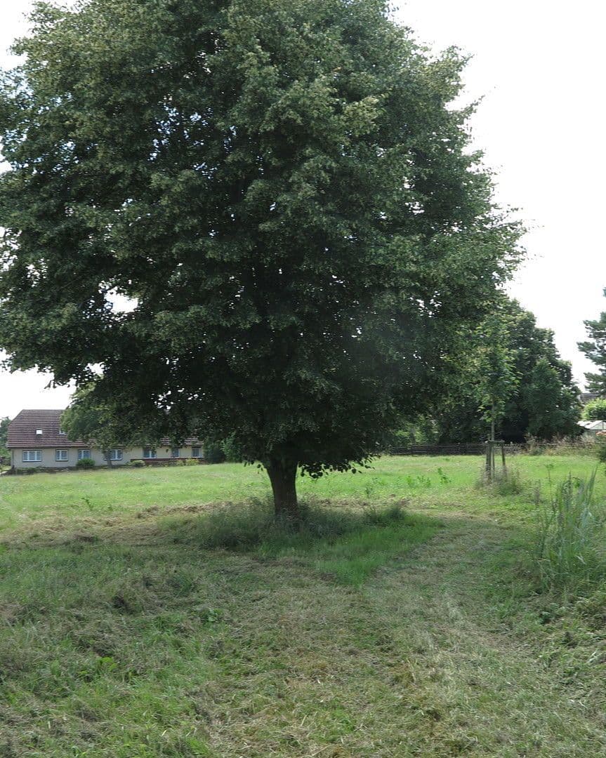 Predaj domu 1.200 m², pozemek 7.000 m², Ivenack, Meklenbursko-Predpomoransko Predaj domu 1.200 m², pozemek 7.000 m², Ivenack, Meklenbursko-Predpomoransko