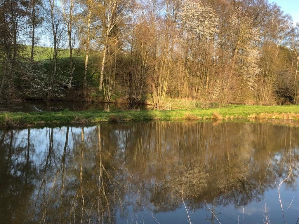 Prenájom pozemku 9.000 m², Lange Reihe, Seesen, Dolné Sasko Prenájom pozemku 9.000 m², Lange Reihe, Seesen, Dolné Sasko