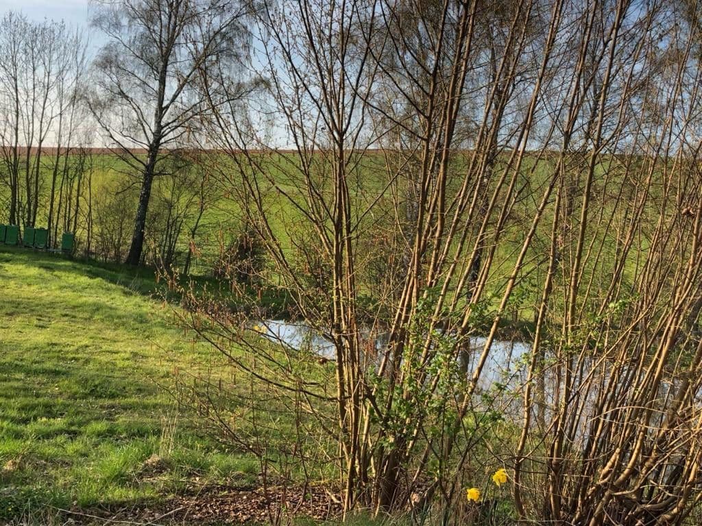 Prenájom pozemku 9.000 m², Lange Reihe, Seesen, Dolné Sasko Prenájom pozemku 9.000 m², Lange Reihe, Seesen, Dolné Sasko