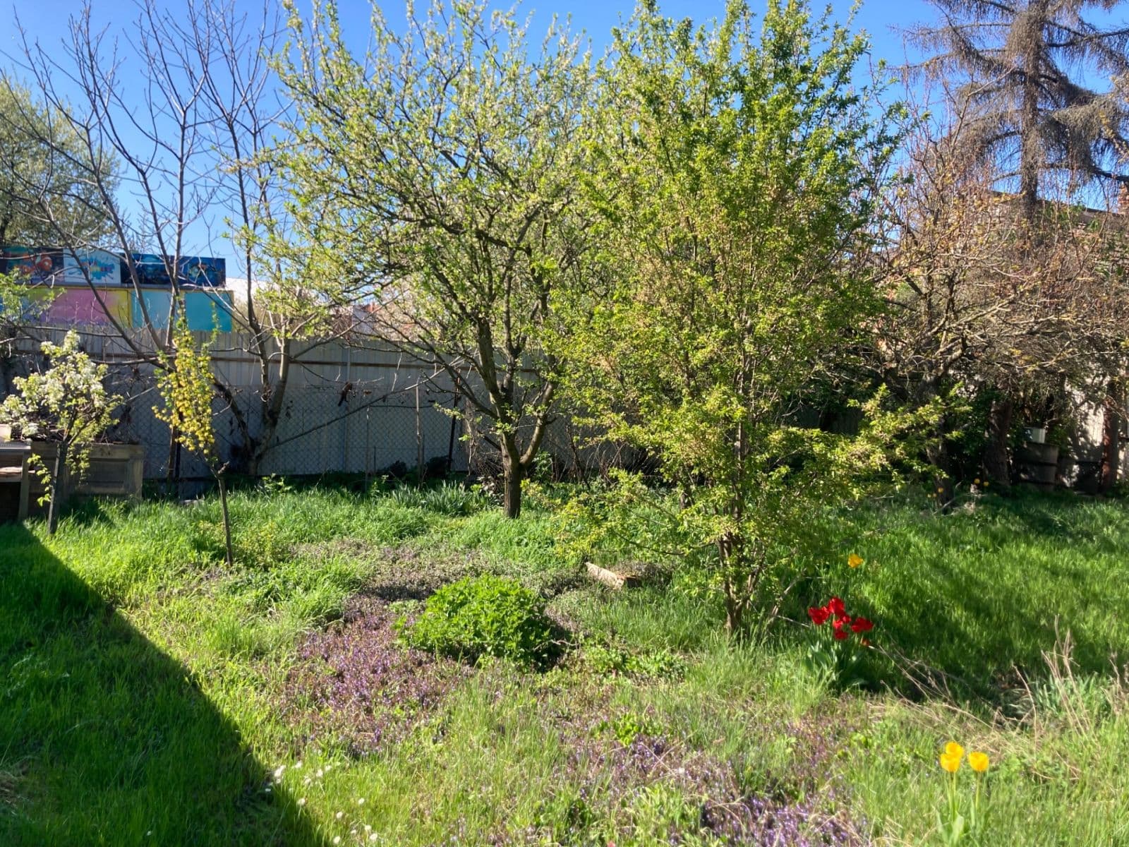 Predaj domu 163 m², pozemek 602 m², Kostelec na Hané, Olomoucký kraj Predaj domu 163 m², pozemek 602 m², Kostelec na Hané, Olomoucký kraj