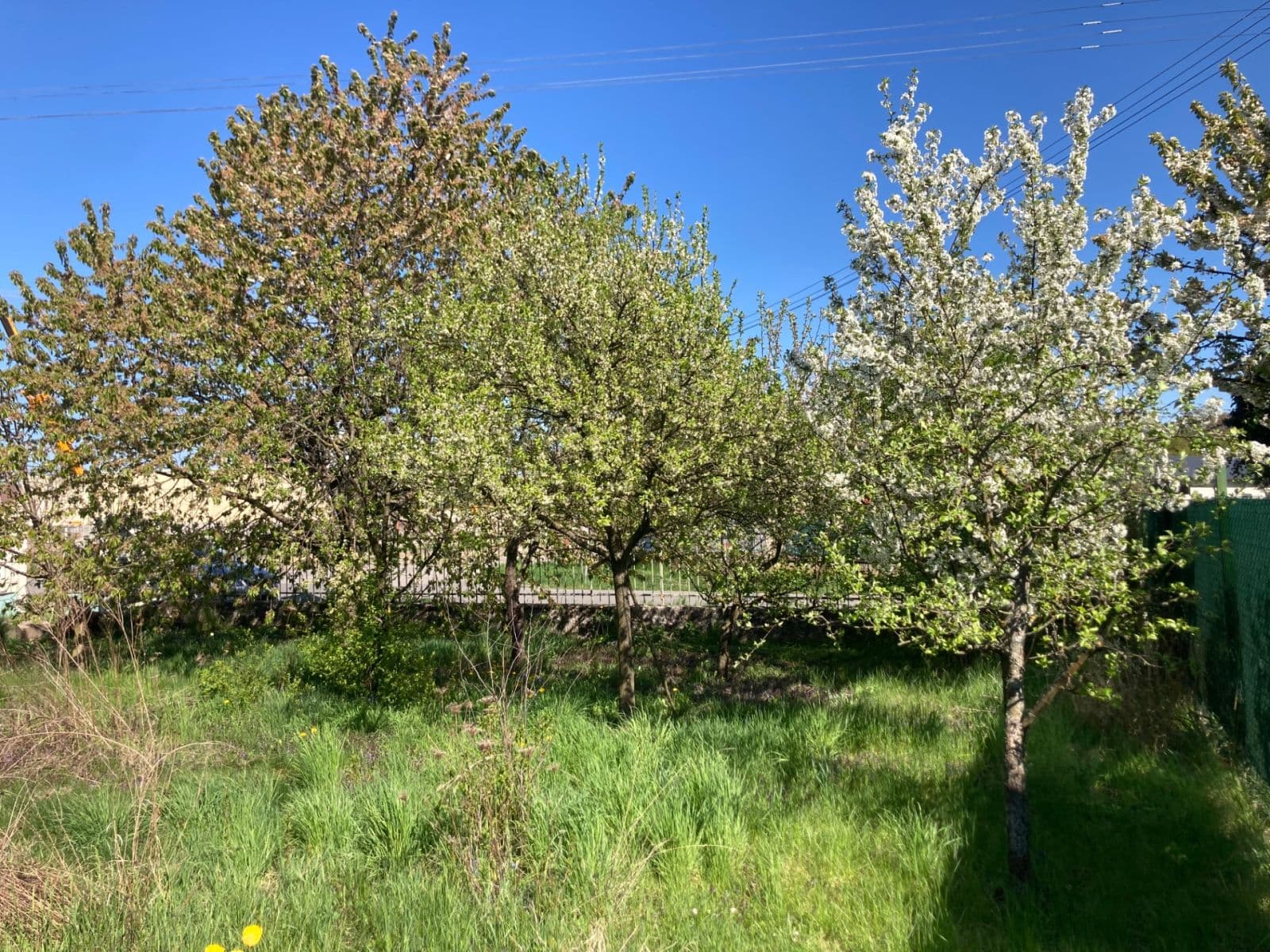 Predaj domu 163 m², pozemek 602 m², Kostelec na Hané, Olomoucký kraj Predaj domu 163 m², pozemek 602 m², Kostelec na Hané, Olomoucký kraj