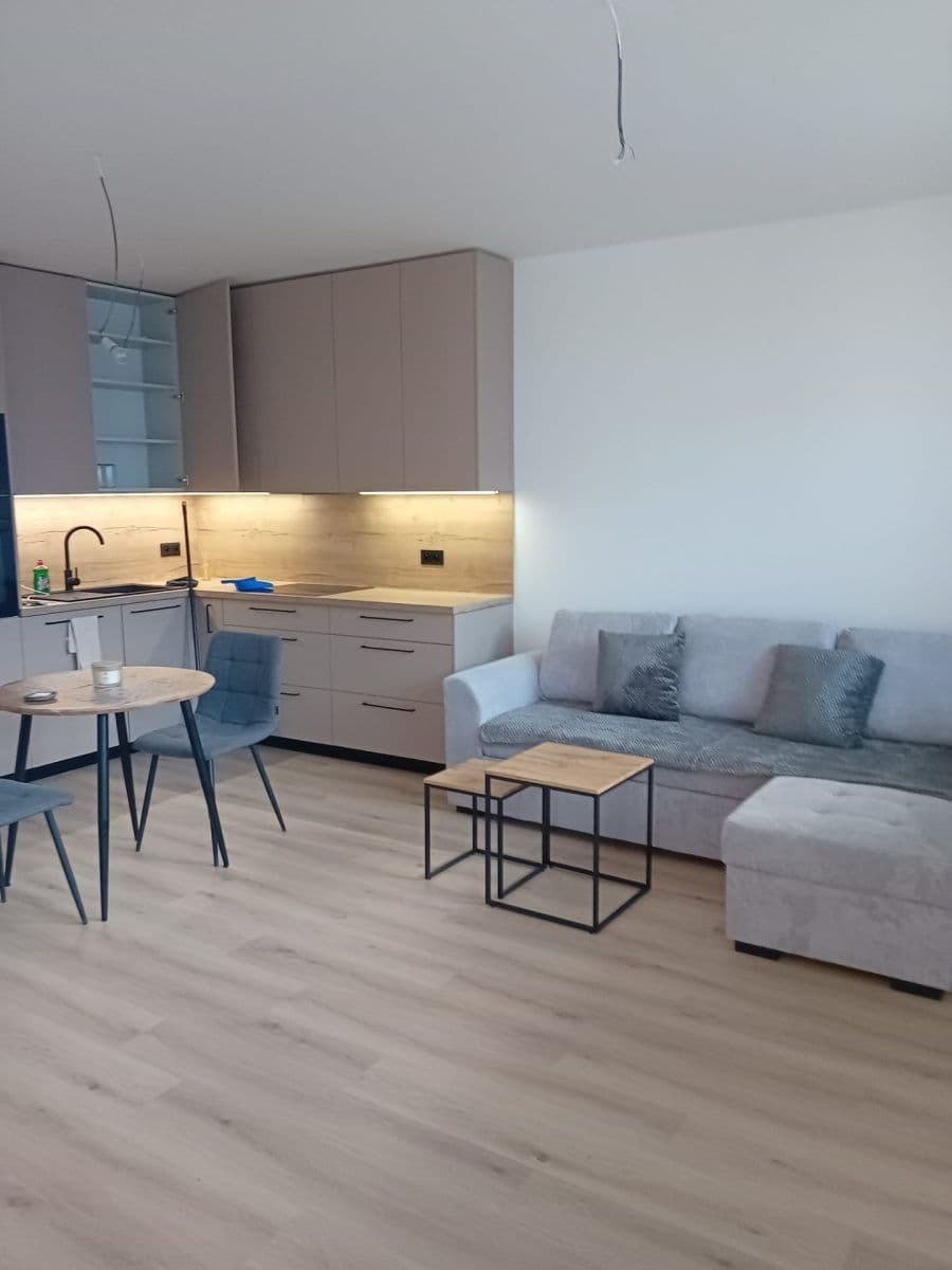 Prenájom bytu 2-izbový 57 m², Jižní, Brno, Jihomoravský kraj Prenájom bytu 2-izbový 57 m², Jižní, Brno, Jihomoravský kraj