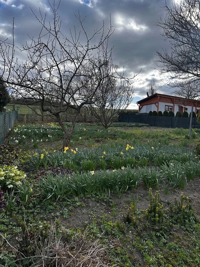 Predaj pozemku 888 m², Litoměřice, Ústecký kraj Predaj pozemku 888 m², Litoměřice, Ústecký kraj