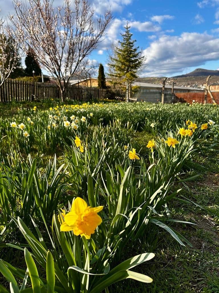 Predaj pozemku 888 m², Litoměřice, Ústecký kraj Predaj pozemku 888 m², Litoměřice, Ústecký kraj