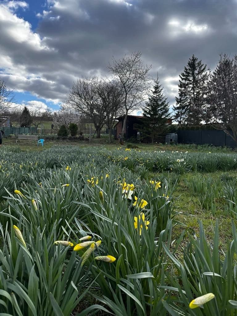 Predaj pozemku 888 m², Litoměřice, Ústecký kraj Predaj pozemku 888 m², Litoměřice, Ústecký kraj