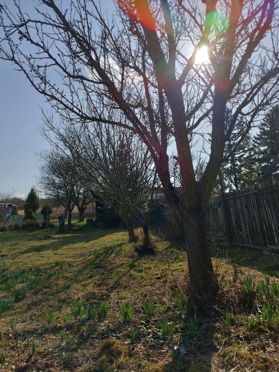 Predaj pozemku 888 m², Litoměřice, Ústecký kraj Predaj pozemku 888 m², Litoměřice, Ústecký kraj