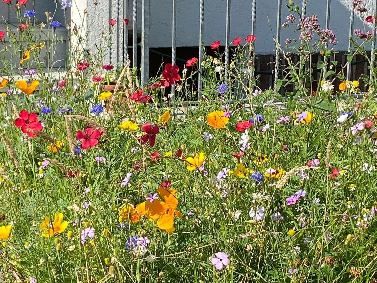 Prenájom bytu 2-izbový 80 m², Rüdigerstraße 100, Köln-Merheim, Severné Porýnie - Westfálsko Prenájom bytu 2-izbový 80 m², Rüdigerstraße 100, Köln-Merheim, Severné Porýnie - Westfálsko