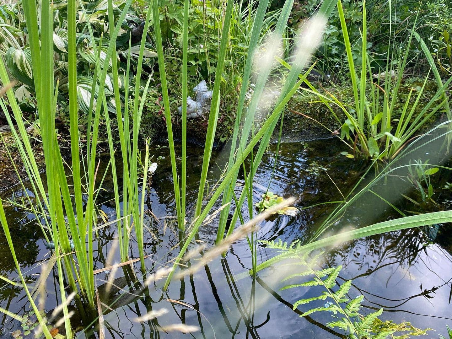 Prenájom bytu 2-izbový 80 m², Rüdigerstraße 100, Köln-Merheim, Severné Porýnie - Westfálsko Prenájom bytu 2-izbový 80 m², Rüdigerstraße 100, Köln-Merheim, Severné Porýnie - Westfálsko
