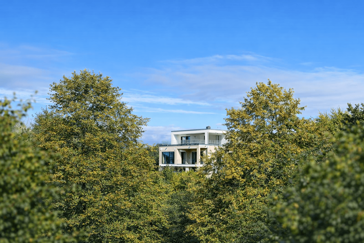 Predaj domu 420 m², pozemek 500 m², Schönaich, Bádensko-Wurttembersko Predaj domu 420 m², pozemek 500 m², Schönaich, Bádensko-Wurttembersko