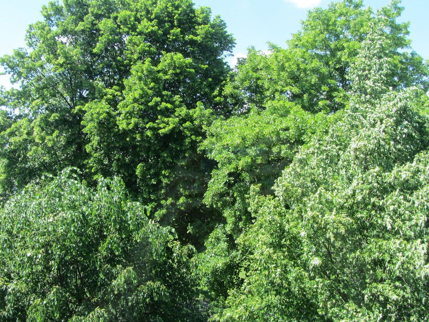 Predaj bytu 2-izbový 57 m², Alfter, Severné Porýnie - Westfálsko Predaj bytu 2-izbový 57 m², Alfter, Severné Porýnie - Westfálsko