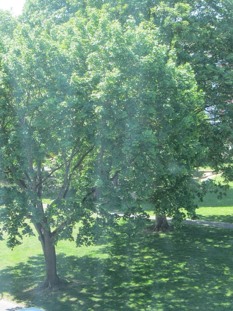 Predaj bytu 2-izbový 57 m², Alfter, Severné Porýnie - Westfálsko Predaj bytu 2-izbový 57 m², Alfter, Severné Porýnie - Westfálsko