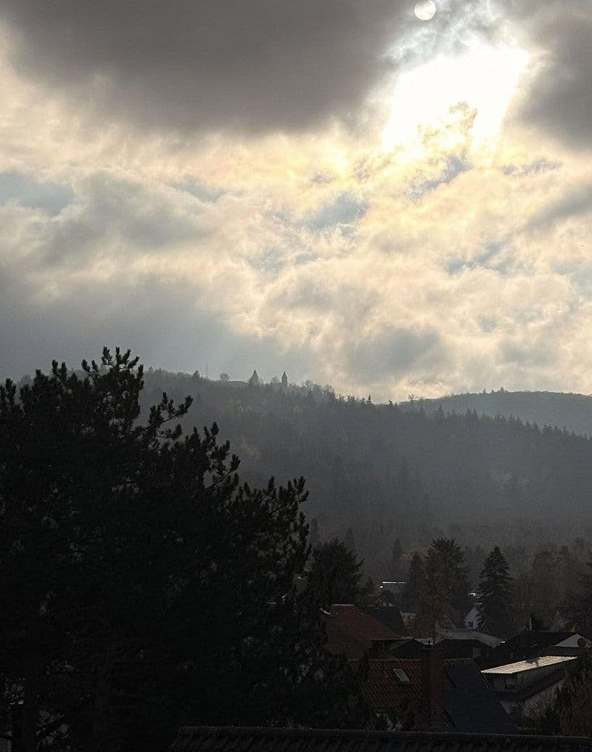 Predaj domu 298 m², pozemek 725 m², Elizabeth-Duncan-Weg 6, Darmstadt, Hesensko Predaj domu 298 m², pozemek 725 m², Elizabeth-Duncan-Weg 6, Darmstadt, Hesensko