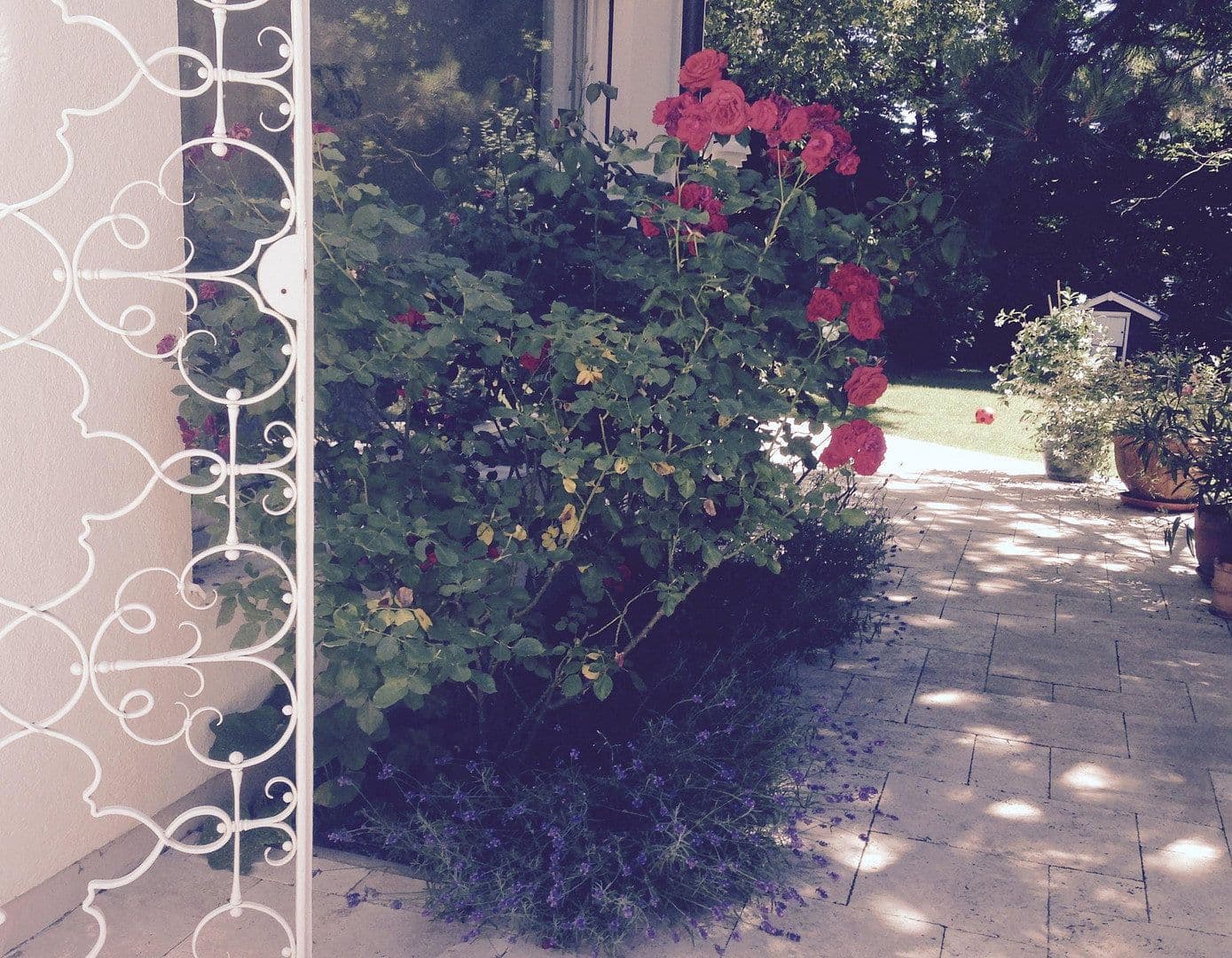 Predaj domu 330 m², pozemek 1.000 m², Augsburg, Bavorsko Predaj domu 330 m², pozemek 1.000 m², Augsburg, Bavorsko