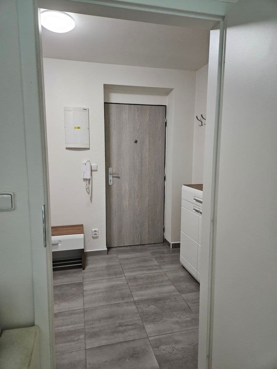 Prenájom bytu 1-izbový 35 m², Přadlácká, Brno, Jihomoravský kraj Prenájom bytu 1-izbový 35 m², Přadlácká, Brno, Jihomoravský kraj