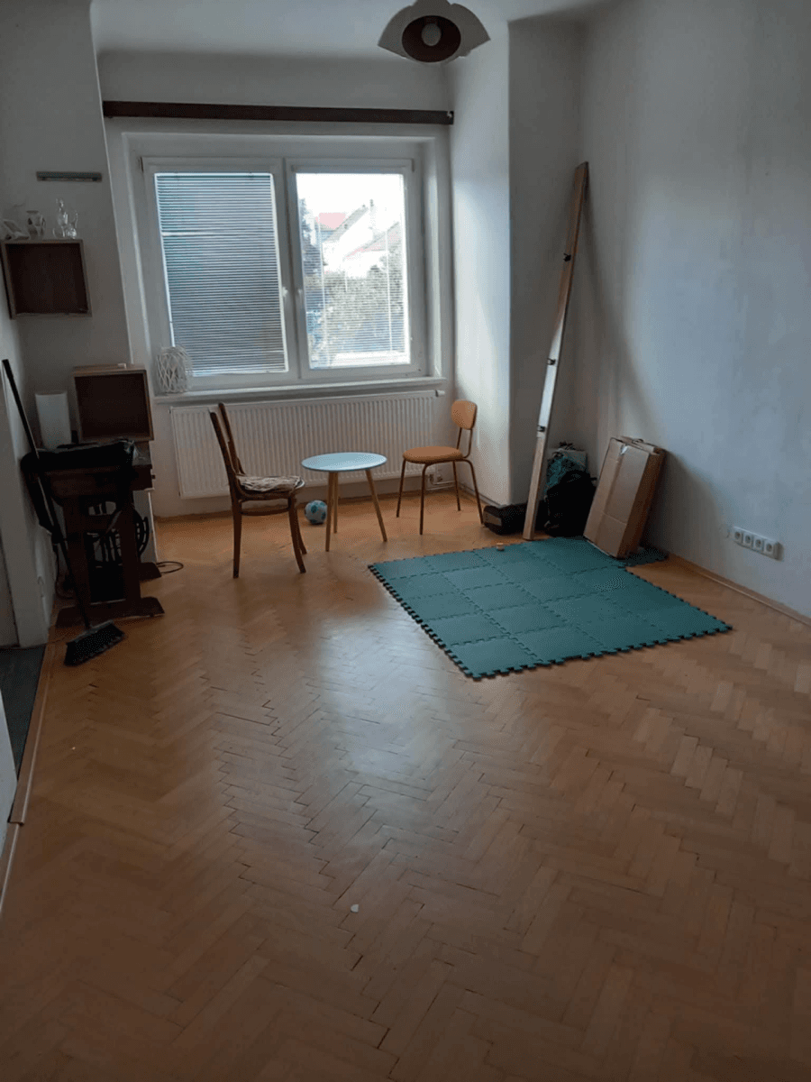 Prenájom bytu 2-izbový 55 m², Třebízského, Brno, Jihomoravský kraj Prenájom bytu 2-izbový 55 m², Třebízského, Brno, Jihomoravský kraj