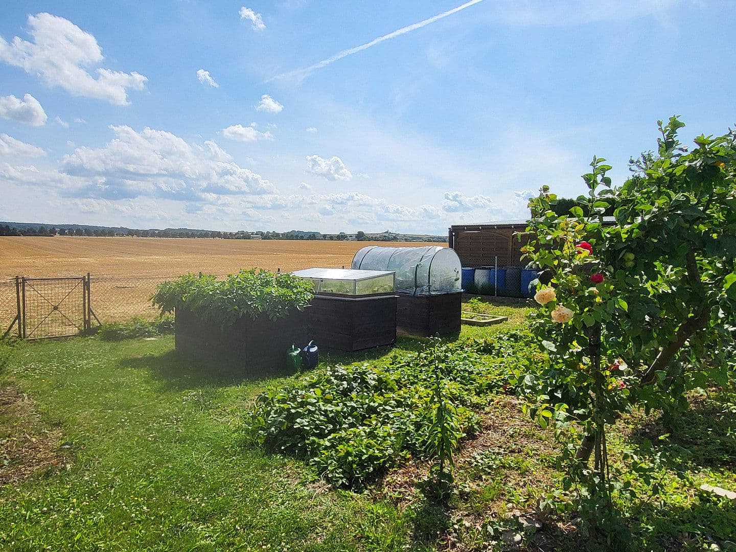 Predaj domu 180 m², pozemek 926 m², Riedenweg 4, Kühlungsborn, Meklenbursko-Predpomoransko Predaj domu 180 m², pozemek 926 m², Riedenweg 4, Kühlungsborn, Meklenbursko-Predpomoransko