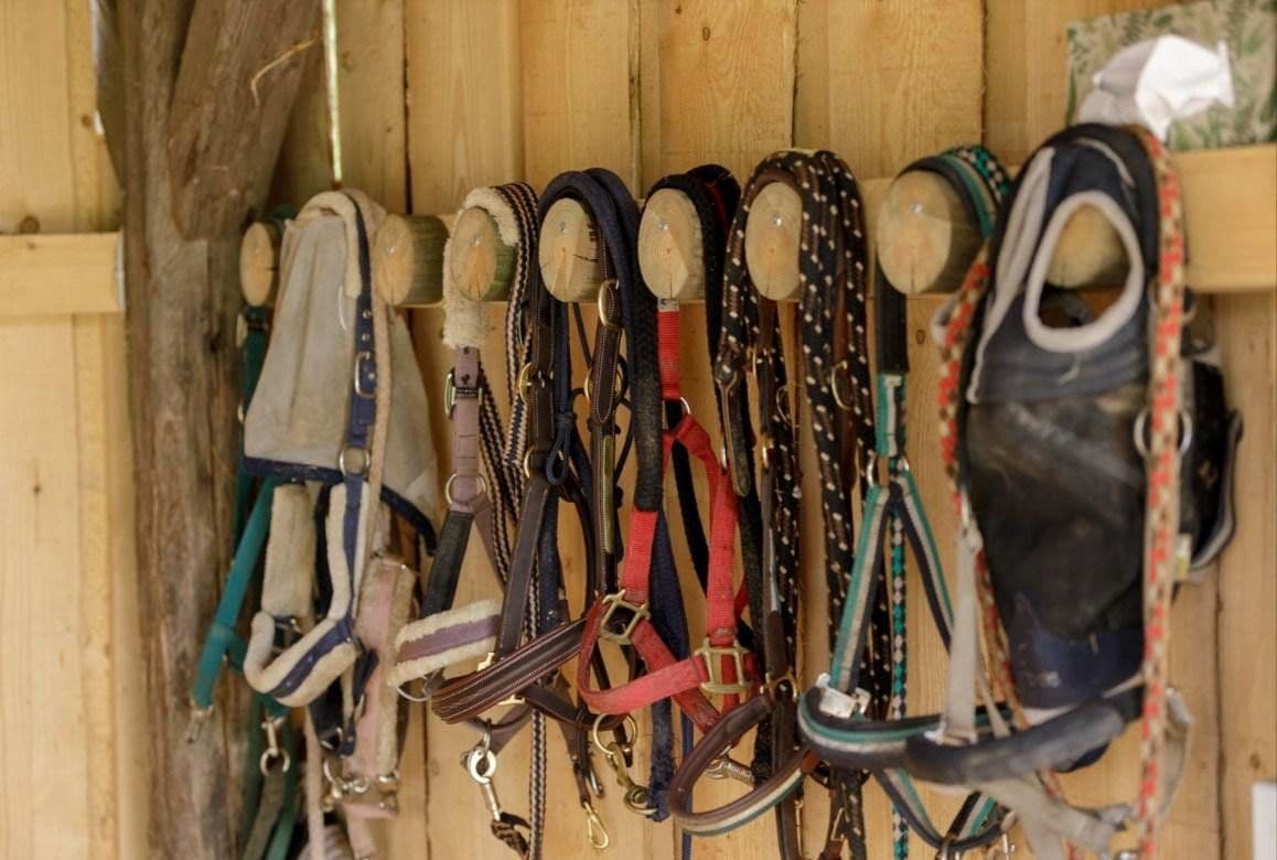 Predaj pozemku 820.000 m², Salem, Bádensko-Wurttembersko Predaj pozemku 820.000 m², Salem, Bádensko-Wurttembersko