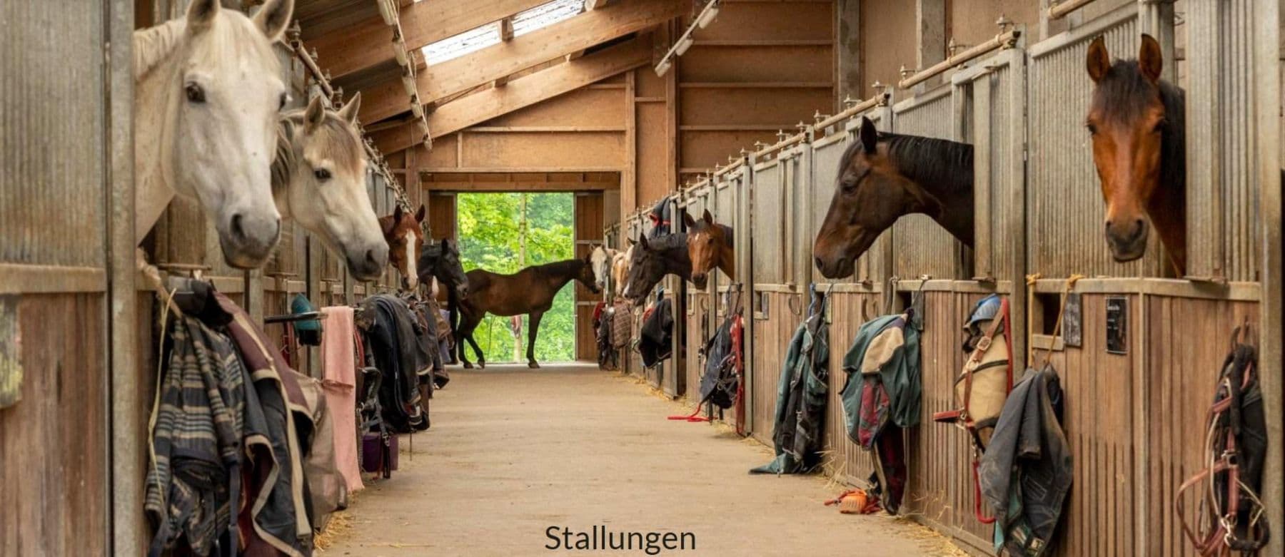 Predaj pozemku 820.000 m², Salem, Bádensko-Wurttembersko Predaj pozemku 820.000 m², Salem, Bádensko-Wurttembersko