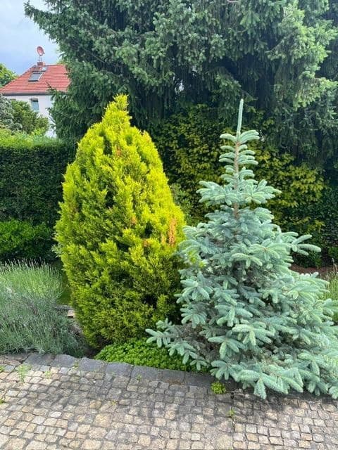 Predaj domu 156 m², pozemek 520 m², Berlin, Berlín Predaj domu 156 m², pozemek 520 m², Berlin, Berlín