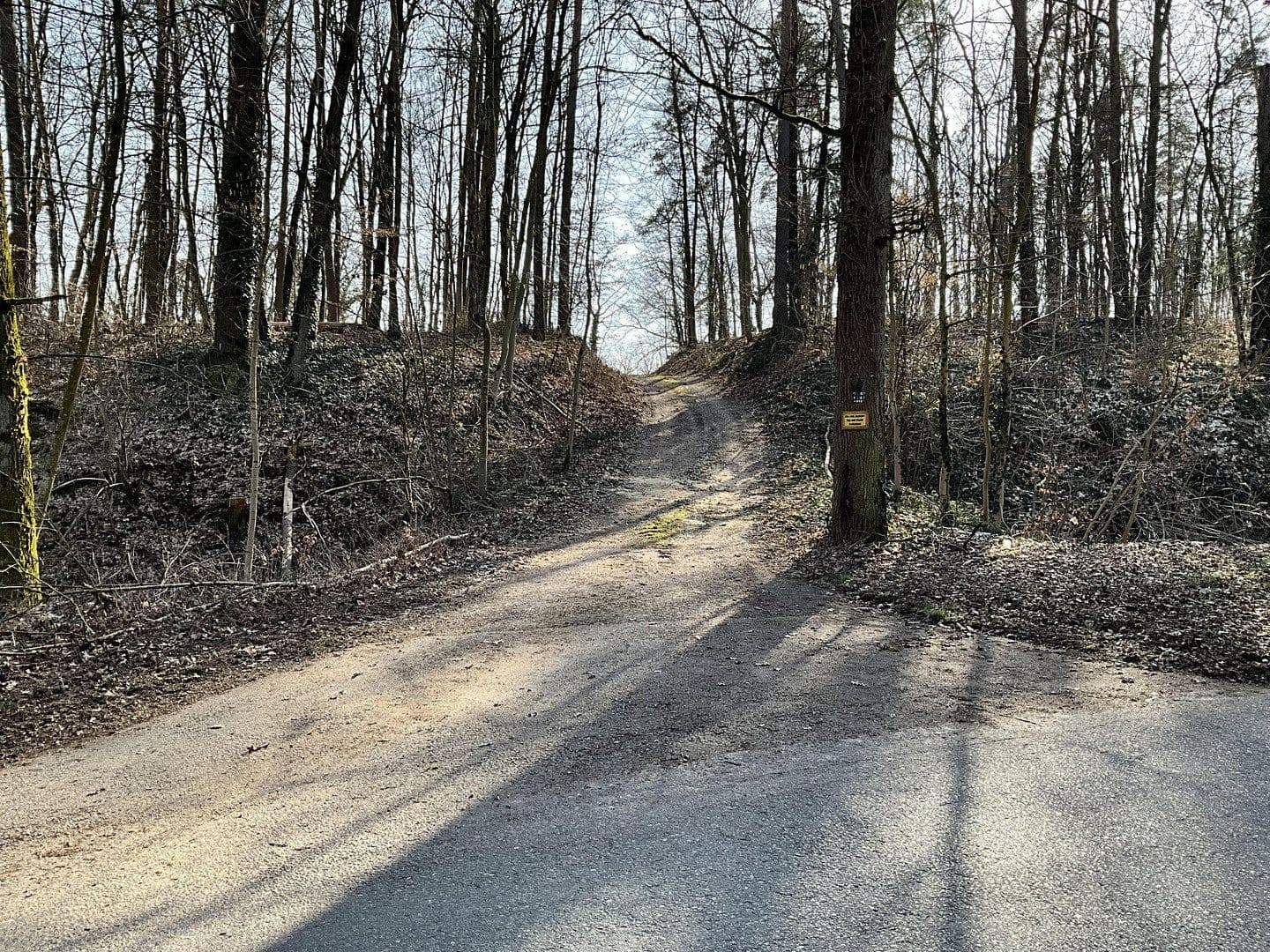 Predaj domu 217 m², pozemek 8.197 m², Langenzenn, Bavorsko Predaj domu 217 m², pozemek 8.197 m², Langenzenn, Bavorsko