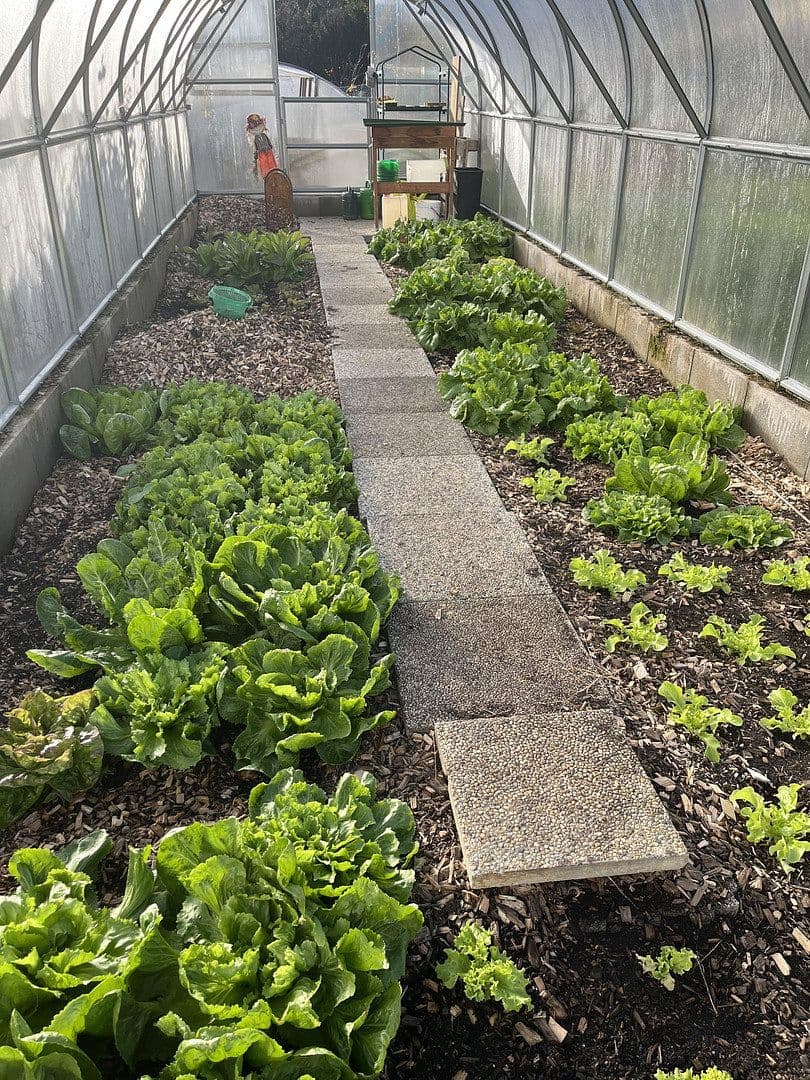 Predaj domu 130 m², pozemek 997 m², Bruck an der Mur, Štajersko Predaj domu 130 m², pozemek 997 m², Bruck an der Mur, Štajersko