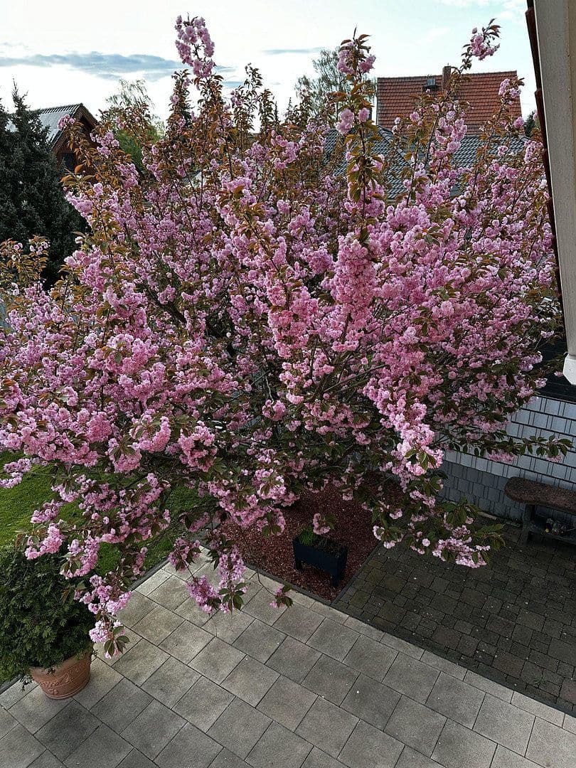 Predaj domu 152 m², pozemek 2.040 m², Mühlenbecker Land, Brandenbursko Predaj domu 152 m², pozemek 2.040 m², Mühlenbecker Land, Brandenbursko