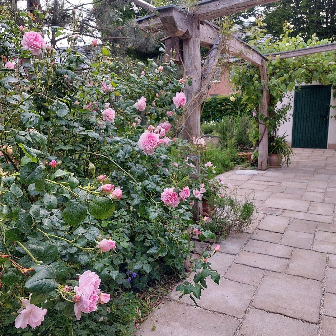 Predaj domu 167 m², pozemek 994 m², Kevelaer, Severné Porýnie - Westfálsko Predaj domu 167 m², pozemek 994 m², Kevelaer, Severné Porýnie - Westfálsko