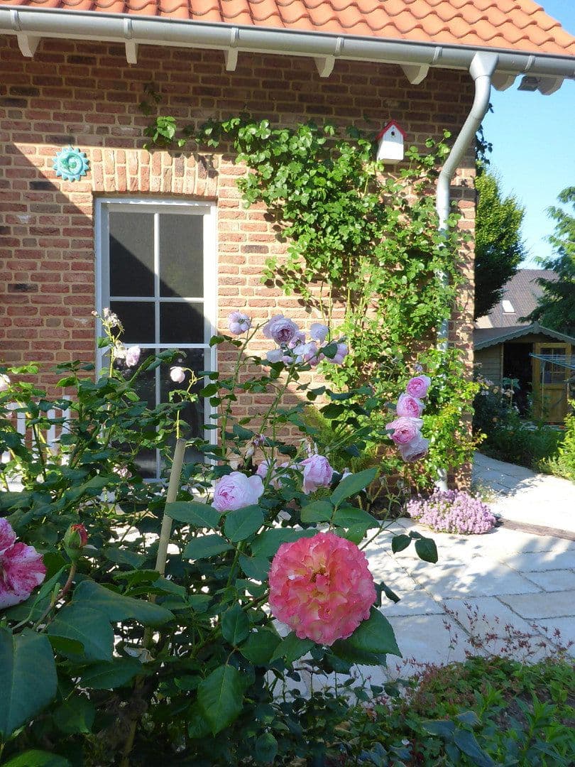 Predaj domu 167 m², pozemek 994 m², Kevelaer, Severné Porýnie - Westfálsko Predaj domu 167 m², pozemek 994 m², Kevelaer, Severné Porýnie - Westfálsko