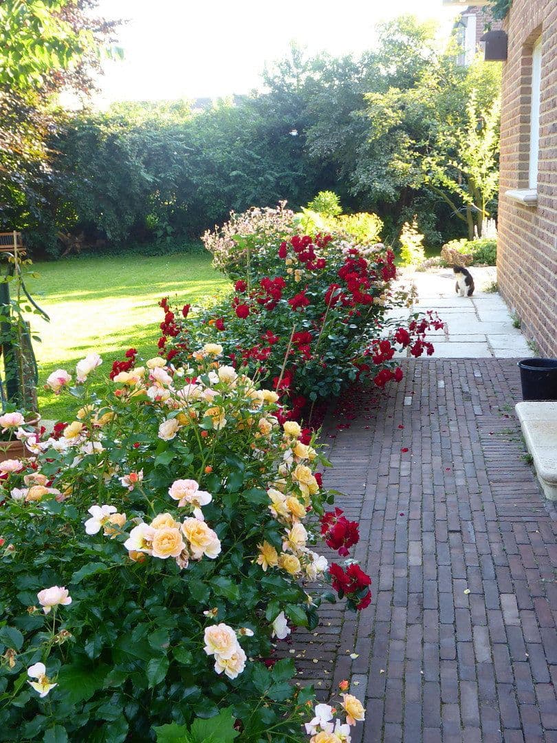 Predaj domu 167 m², pozemek 994 m², Kevelaer, Severné Porýnie - Westfálsko Predaj domu 167 m², pozemek 994 m², Kevelaer, Severné Porýnie - Westfálsko