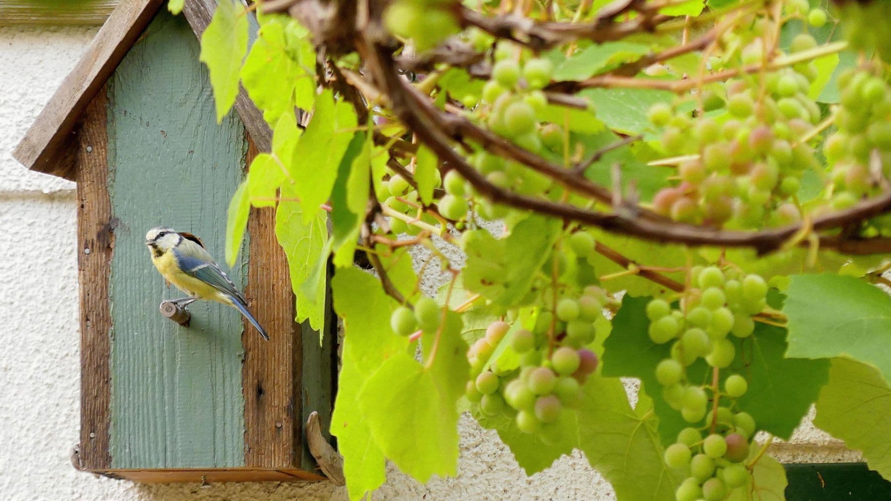 Predaj domu 167 m², pozemek 994 m², Kevelaer, Severné Porýnie - Westfálsko Predaj domu 167 m², pozemek 994 m², Kevelaer, Severné Porýnie - Westfálsko