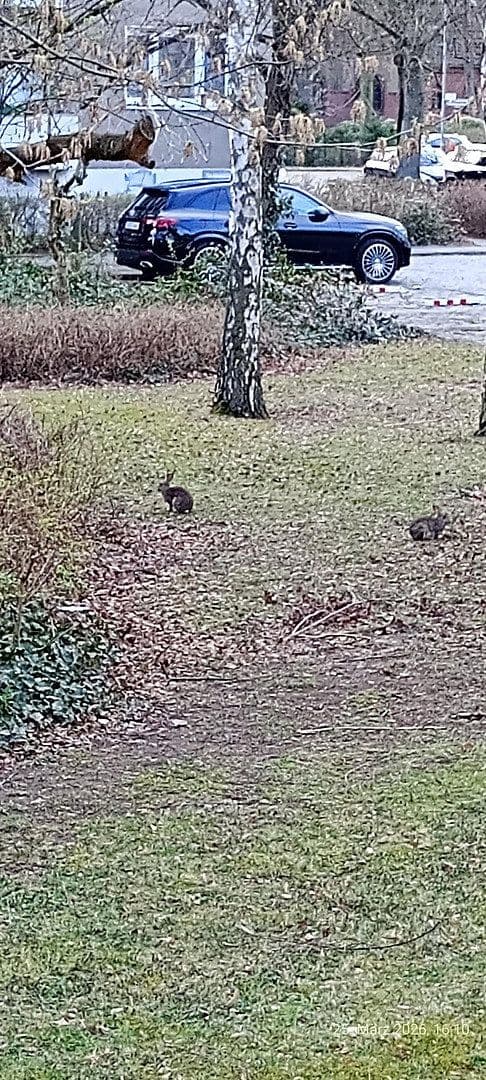 Predaj bytu 3-izbový 86 m², Berlin, Berlín Predaj bytu 3-izbový 86 m², Berlin, Berlín