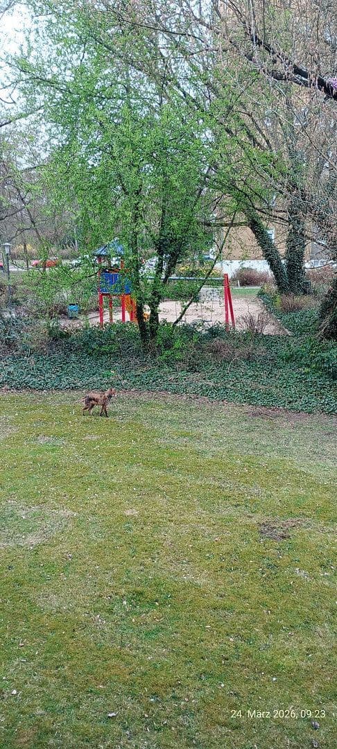 Predaj bytu 3-izbový 86 m², Berlin, Berlín Predaj bytu 3-izbový 86 m², Berlin, Berlín