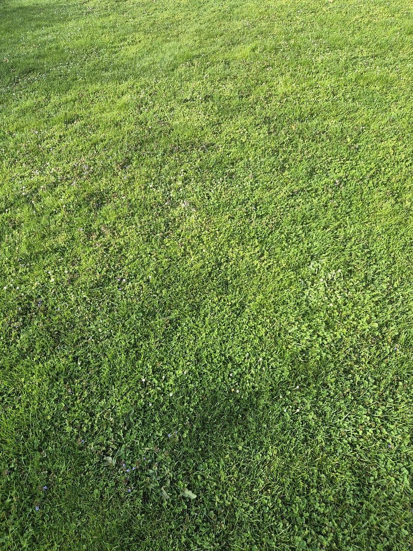 Predaj pozemku 414 m², Hollabrunn, Dolné Rakúsko Predaj pozemku 414 m², Hollabrunn, Dolné Rakúsko