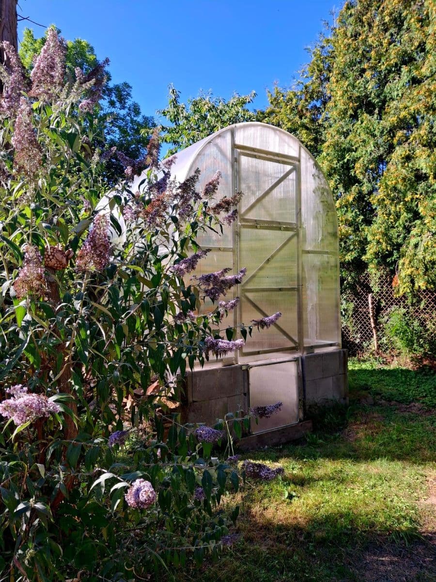 Predaj domu 98 m², pozemek 3.000 m², Hlavatce, Jihočeský kraj Predaj domu 98 m², pozemek 3.000 m², Hlavatce, Jihočeský kraj