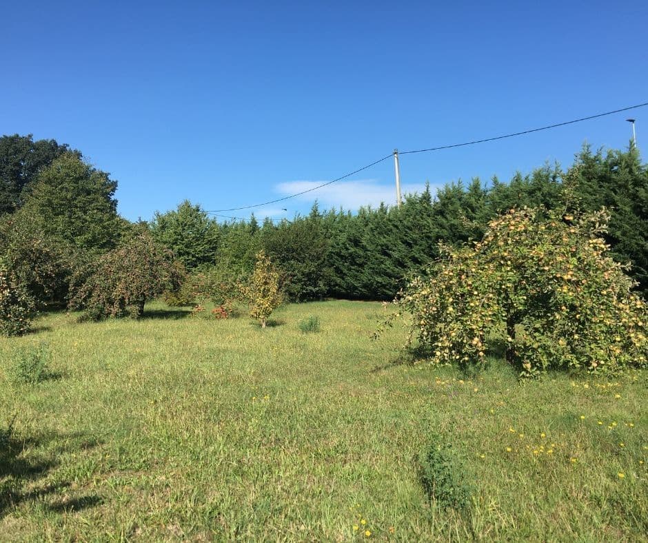 Predaj pozemku 6.478 m², Kadaňská, Žatec, Ústecký kraj Predaj pozemku 6.478 m², Kadaňská, Žatec, Ústecký kraj