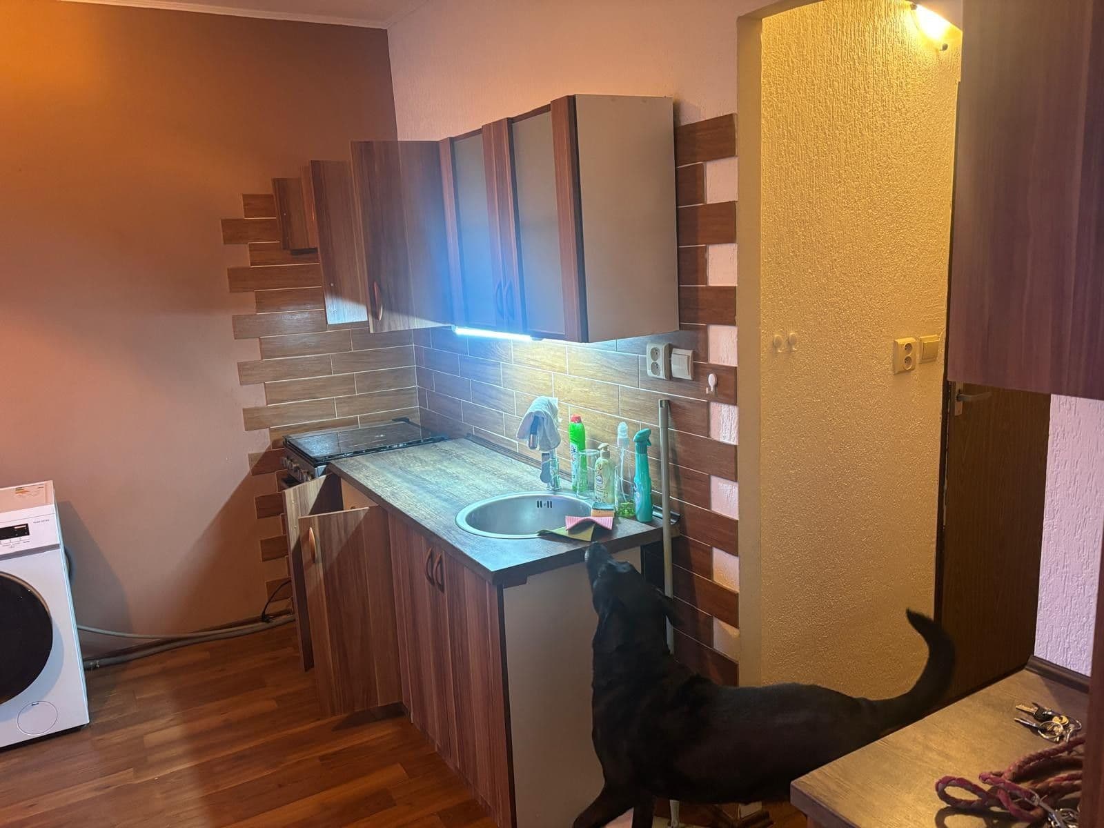 Prenájom bytu 1-izbový 45 m², Dvořákova, Cheb, Karlovarský kraj Prenájom bytu 1-izbový 45 m², Dvořákova, Cheb, Karlovarský kraj