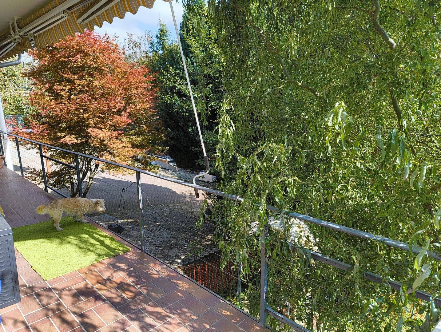 Predaj domu 330 m², pozemek 1.746 m², Haldenäckerstr. 15/2, Oberndorf am Neckar, Bádensko-Wurttembersko Predaj domu 330 m², pozemek 1.746 m², Haldenäckerstr. 15/2, Oberndorf am Neckar, Bádensko-Wurttembersko