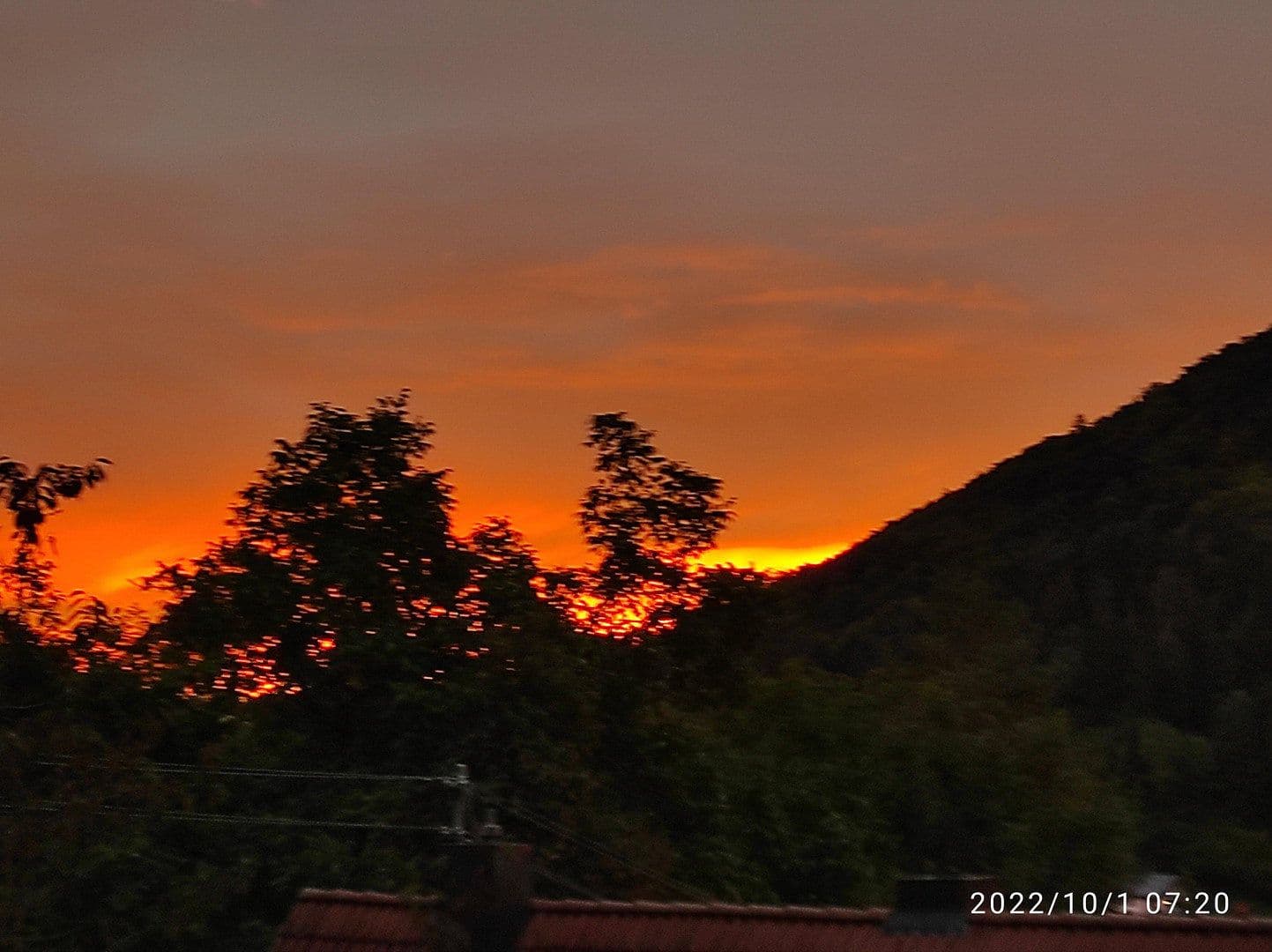 Predaj domu 330 m², pozemek 1.746 m², Haldenäckerstr. 15/2, Oberndorf am Neckar, Bádensko-Wurttembersko Predaj domu 330 m², pozemek 1.746 m², Haldenäckerstr. 15/2, Oberndorf am Neckar, Bádensko-Wurttembersko