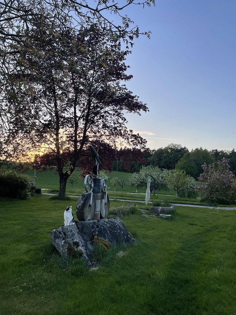 Prenájom bytu 160 m², Alberndorf, Horné Rakúsko Prenájom bytu 160 m², Alberndorf, Horné Rakúsko