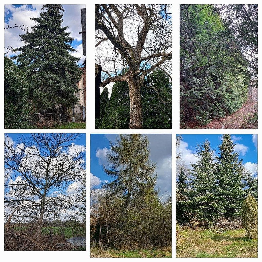 Predaj pozemku 2.800 m², Wandlitz, Brandenbursko Predaj pozemku 2.800 m², Wandlitz, Brandenbursko