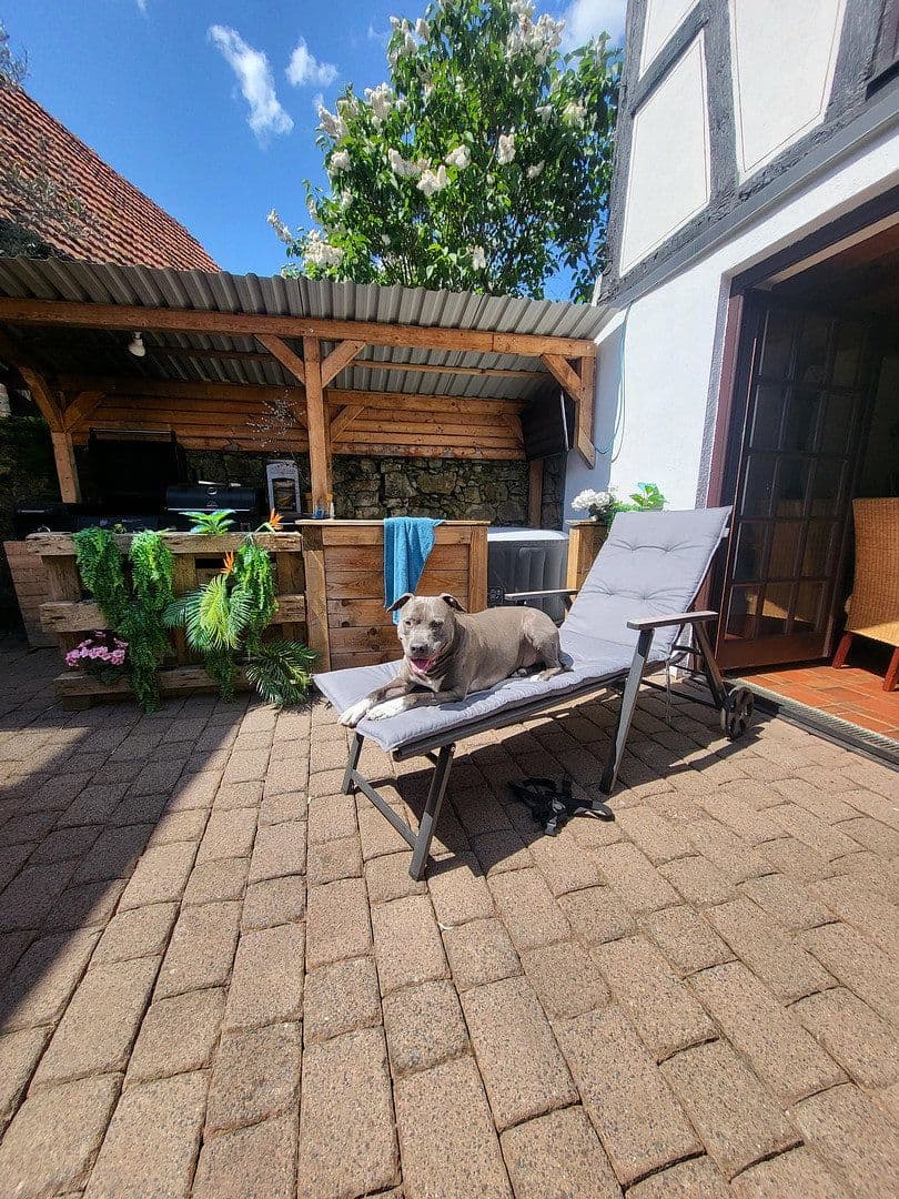 Predaj domu 280 m², pozemek 379 m², Rodenbach, Hesensko Predaj domu 280 m², pozemek 379 m², Rodenbach, Hesensko