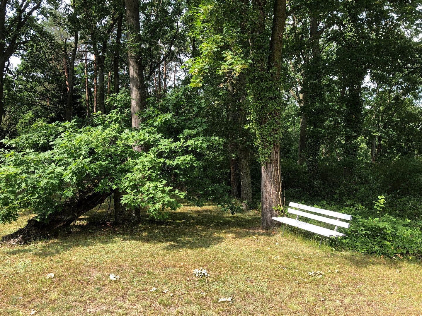 Prenájom kancelárie 17 m², Friedrichshagener Str. 1-4, Schöneiche bei Berlin, Brandenbursko Prenájom kancelárie 17 m², Friedrichshagener Str. 1-4, Schöneiche bei Berlin, Brandenbursko