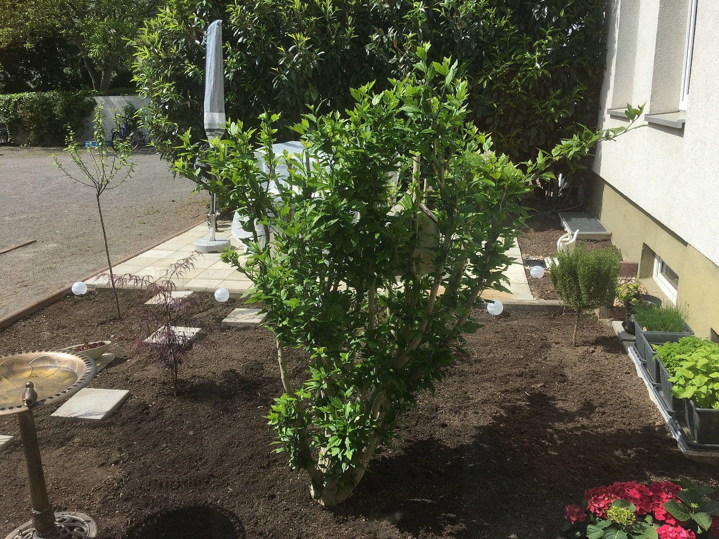 Prenájom kancelárie 540 m², Mariannenstrasse 20, Dessau-Rosslau, Sasko-Anhaltsko Prenájom kancelárie 540 m², Mariannenstrasse 20, Dessau-Rosslau, Sasko-Anhaltsko