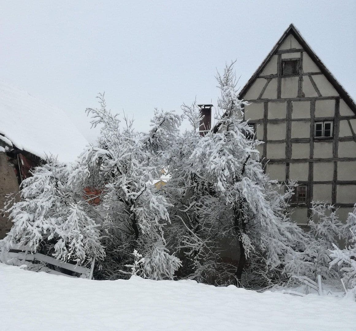 Predaj domu 180 m², pozemek 4.000 m², Wilhermsdorf, Bavorsko Predaj domu 180 m², pozemek 4.000 m², Wilhermsdorf, Bavorsko